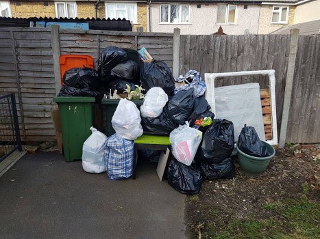 Experienced garden clearance team in Shoreditch