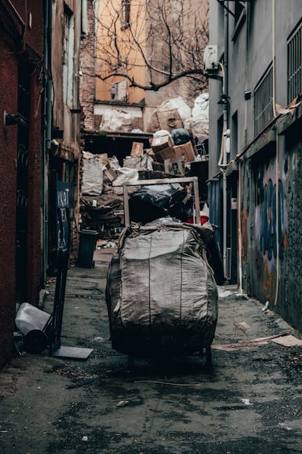 Same day rubbish collection Old Street EC2A